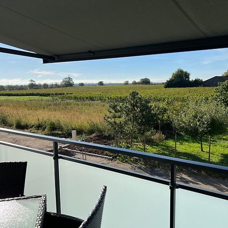 Oasis Tout Confort A Bergheim, Alsace Kültér fotó