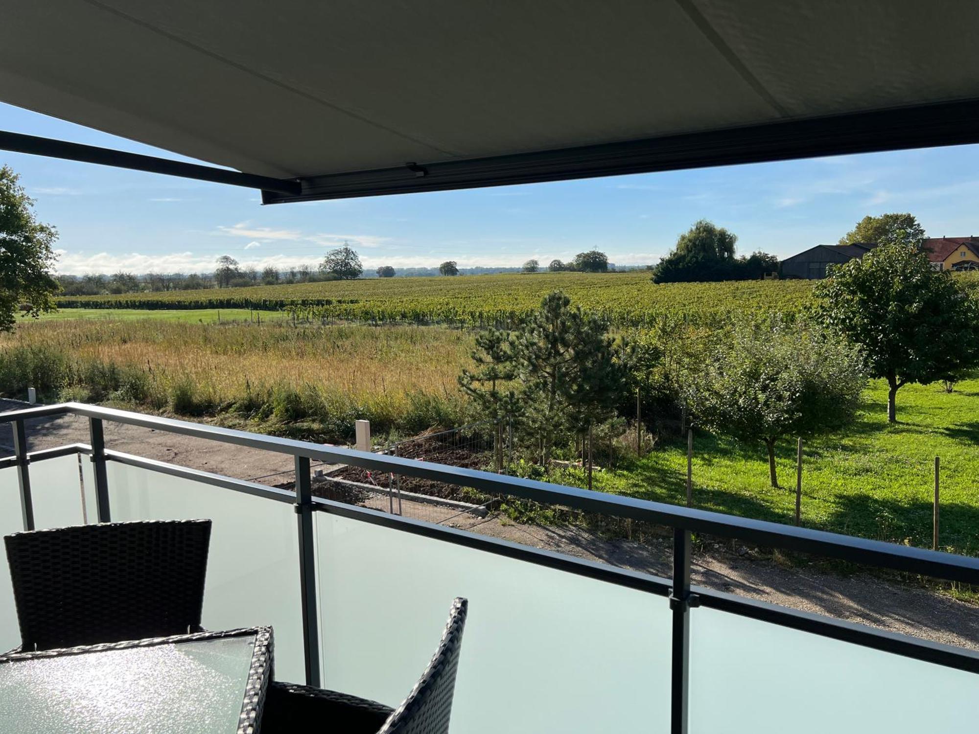 Oasis Tout Confort A Bergheim, Alsace Kültér fotó
